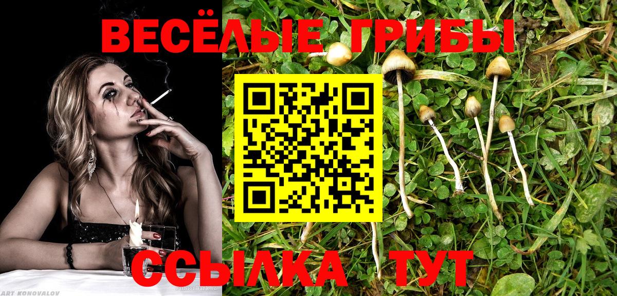 Саранск  закладки  Псилоцибиновые грибы MAGIC MUSHROOMS  Вход с VPN  Галлюциногенные грибы мухоморы 
